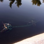 Two runaway shopping carts stuck in the canal mud between Central and 7th avenues collect trash that floats by.