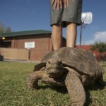 Bioscience's "mascot"