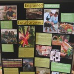 Sustainability-Fair-05 Sustainability-Fair-05