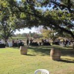 AZ-Wine-Fest-1
