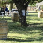 AZ-Wine-Fest-3