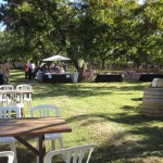 AZ-Wine-Fest-4