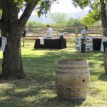 AZ-Wine-Fest-7