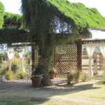 AZ-Wine-Fest-11
