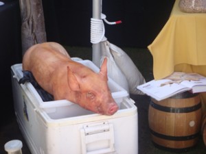 Devoured Payton pig 300x225 A Weekend Devoured