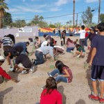 crowdplanting240 crowdplanting240