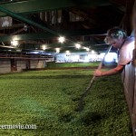 Gayle Goschie at Goschie Farms