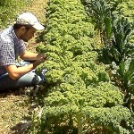 Wire | Community Gardens Grow from City Partnership