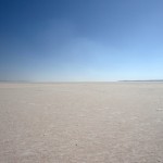 A Desert of Ideas